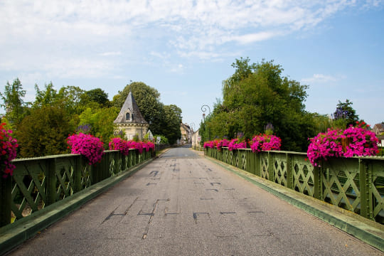 Un pont décoré par des fleurs naturels rouge.
